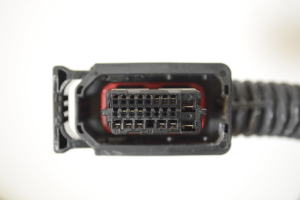 Rear side doors - 77004BE010