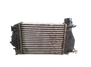 RENAULT Kadjar (2015–2026) Vahejahuti radiaator 144614EB1A - 2