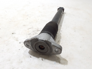   Stoßdämpfer hinten  - A1673208201 