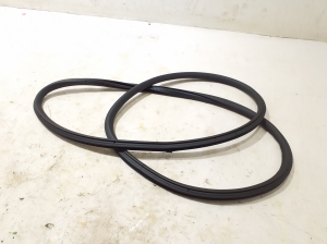   Front door rubber seal  - A1676971800 