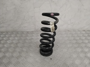 Ford Mustang Mach-E Mach-E (2020–2026) Rear spring LJ9C5560ANE - 3