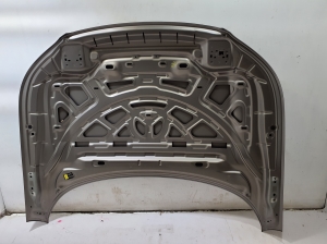Motorhaube - 31356744