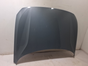 Motorhaube - 31108617