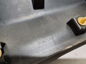 RENAULT Megane E-Tech CMF-EV (2022–2026) Front door molding 808215971R - 2