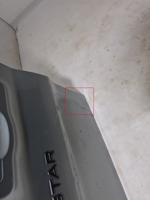RENAULT Trafic III (2014–2022) Rear cargo door 901010761R - 2