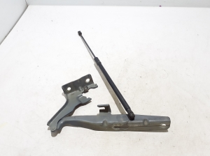 Kapoti hing - 31424537