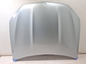 Motorhaube - A1678800300