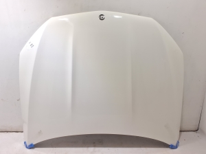 Motorhaube - A1678800300