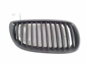 Front grille - 