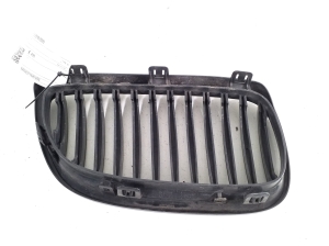 BMW X4 F98 (2019–2026) Kühlergrill - 2