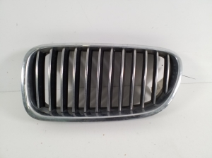 Front grille - 7200727