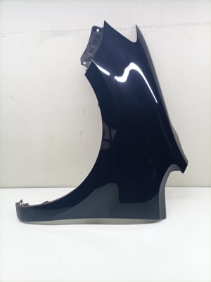 Front fender - 7N0821021B