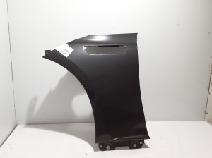 Front fender - A2958810100