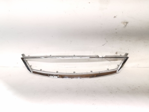 Front grille - 65718B271AB