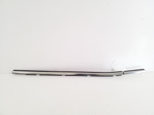 Rear side door outer window molding - 