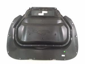 Trim under the hood - LJ8BR16D672BC
