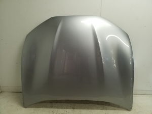 Hood - LJ8BR16612-AG
