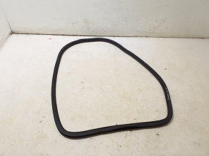 Rear side door seal on the door - LR164726