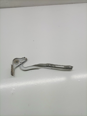  Hood hinge  - 9816485080 