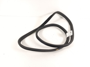   Rear side door seal on the door  - A2936970000 