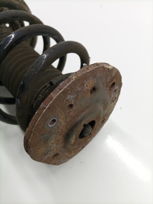 Ford Mondeo V (2014–2018) Front shock absorber and its components DG9C18K001 - 2