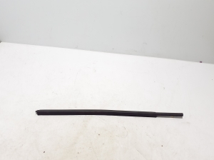   Rear side door outer window molding  - LR175421 