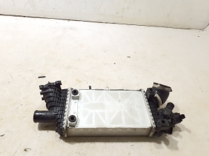 Land Rover Defender II (2019–2026) Vahejahuti radiaator J6P36K775BE - 4