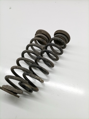 Opel Insignia (2017–2026) Rear spring 84198854 - 2