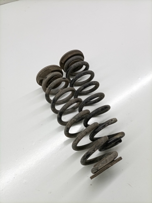 Opel Insignia (2017–2026) Rear spring 84198854 - 3