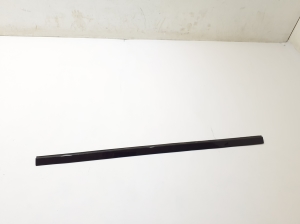   Fensterschachtleiste außen Tür hinten  - N8B2244A56AB 