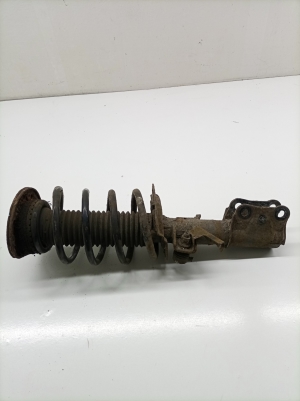Eesmine amort ja selle komponendid - 1925084