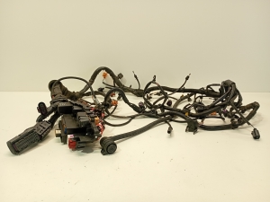 AUDI A4 B8 (2007–2016) Motorkabelbaum 8k1971072bp - 2