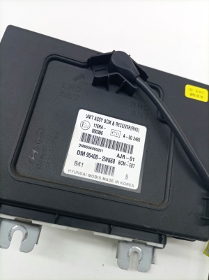 Hyundai Santa Fe (2012–2018) Sonstiges Steuergerät 954002W660 - 2