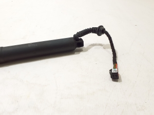   Heckklappendämpfer  - 31689670 