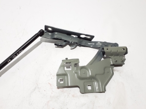 Kapoti hing - 31108730
