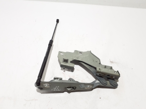   Kapoti hing  - 31108731 