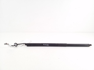   Tagaluugi amortisaator  - LJ8BR402A55AB 