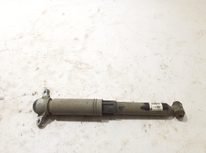   Stoßdämpfer hinten  - LJ9C18080EAE 