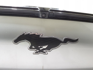 Ford Mustang Mach-E Mach-E (2020–2026) Esikaitseraud LJ8B17D957-DCPRAA - 11