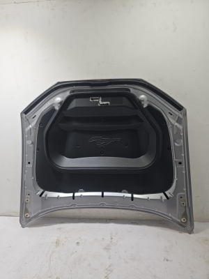 Ford Mustang Mach-E Mach-E (2020–2026) Kapott LJ8BR16612AH - 5