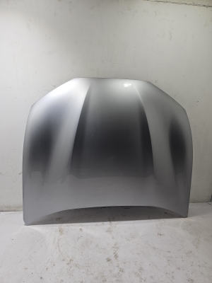 Hood - LJ8BR16612AH