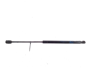 Hood prop/gas strut - LJ8BR16C826AB