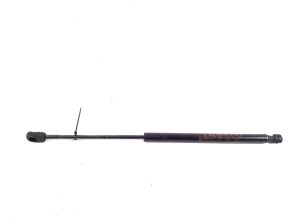   Hood prop/gas strut  - LJ8BR16C827AB 