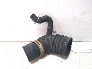 Hose