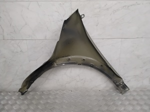 Hyundai IONIQ 5 I (2021–2026) Front fender - 3