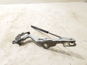 Ford Mustang Mach-E Mach-E (2020–2026) Kapoti hing LJ8BR16801AD - 2