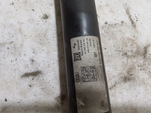 AUDI Q8 (2018–2026) Rear shock absorber 4M0616031AS - 4