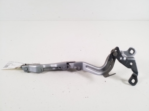   Motora pārsega eņģe  - LJ8BR16C965AE 