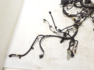   Wiring harness  - LJ8T14290EDH 