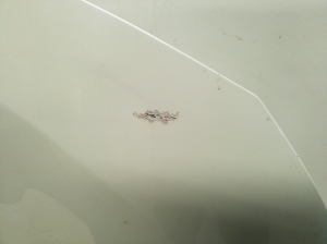 TOYOTA RAV 4 A5 (2019–2026) Motorhaube 5330142150 - 5